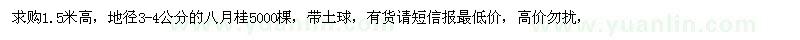 求购1.5米高，地径3-4公分的八月桂5000棵