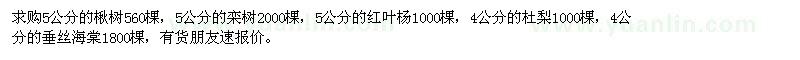 求购楸树、栾树、红叶杨、杜梨、垂丝海棠