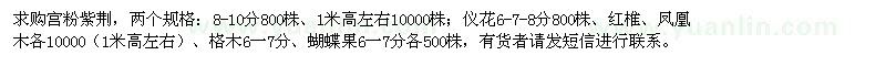 求购宫粉紫荆、仪花、凤凰木