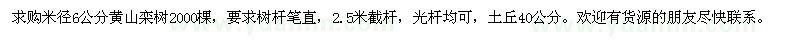 求购米径6公分黄山栾树2000棵