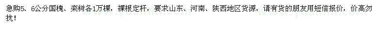 求购5、6公分国槐、栾树各1万棵