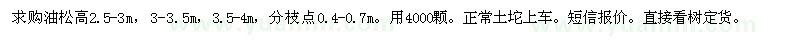 求购油松高2.5-3m，3-3.5m，3.5-4m