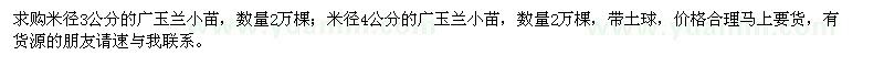 求购米径3公分、4公分广玉兰小苗