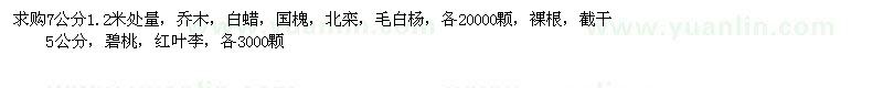 求购白蜡，国槐，北栾，毛白杨、碧桃，红叶李