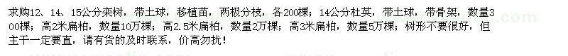 求购栾树、杜英、扁柏