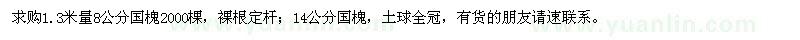 求购1.3米量8公分国槐,14公分国槐