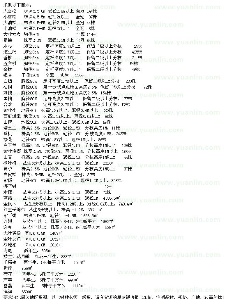 求购雪松、油松、大叶女贞、蜀桧等苗木