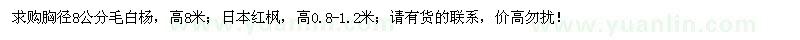 求购胸径8公分毛白杨、高0.8-1.2米日本红枫