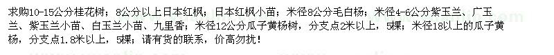 求购桂花、日本红枫、毛白杨等苗木