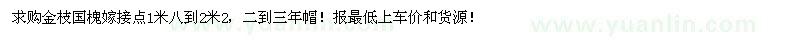 求购金枝国槐嫁接点1米八到2米2