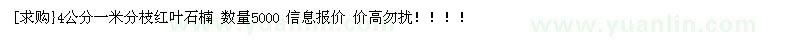 求购4公分一米分枝红叶石楠 数量5000（广东梅州市）