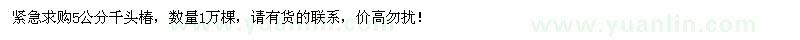 求购5公分千头椿1万棵