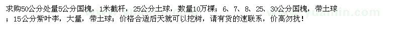 求购5公分国槐、15公分紫叶李