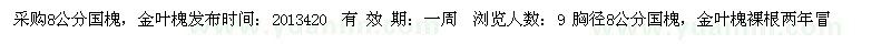 求购采购8公分国槐，金叶槐