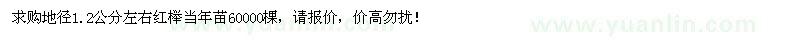 求购地径1.2公分左右红榉当年苗60000棵