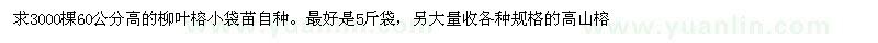 求购3000棵60公分高的柳叶榕