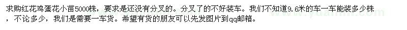 求购红花鸡蛋花小苗5000株，要求是还没有分叉的。.高山榕，香樟，羊蹄甲