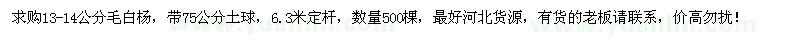 求购13-14公分毛白杨500棵