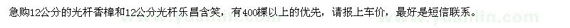 求购12公分的光杆香樟和12公分光杆乐昌含笑