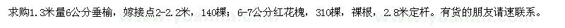 求购6公分垂榆、6-7公分红花槐