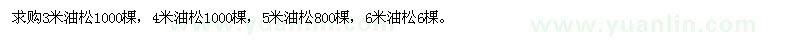 求购3、4、5米油松