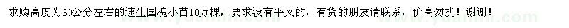 求购高度为60公分左右的速生国槐小苗