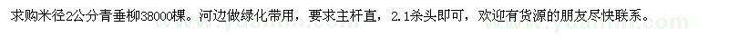 求购米径2公分青垂柳3.8万棵