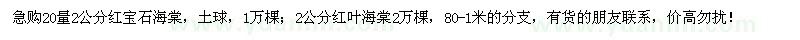 求购20量2公分红宝石海棠、红叶海棠