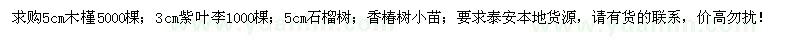 求购木槿、紫叶李、石榴树、香椿树小苗