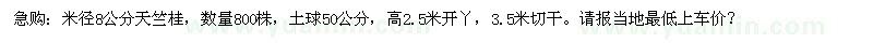 求购急米径8公分天竺桂800株