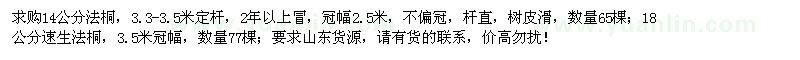 求购14公分法桐、18公分速生法桐