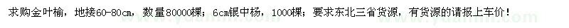 求购金叶榆、银中杨