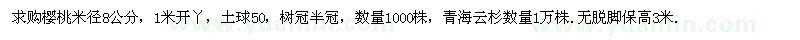 求购樱桃米径8公分，高3米青海云杉