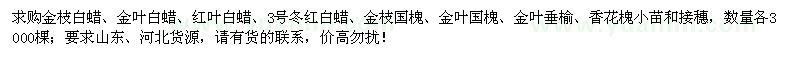 求购金枝白蜡、金叶白蜡、金枝国槐等苗木