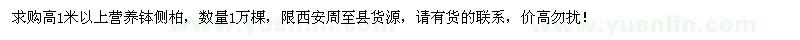 求购高1米以上营养钵侧柏1万棵