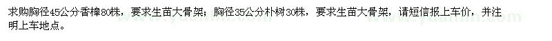 求购大香樟、朴树