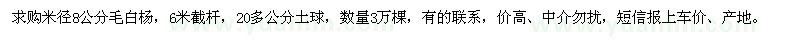 求购米径8公分毛白杨3万棵