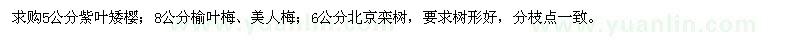 求购紫叶矮樱、榆叶梅、美人梅、北京栾树