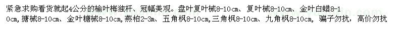 求购榆叶梅 金叶复叶槭 金叶白蜡等