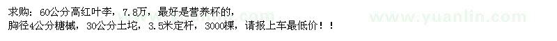 求购60公分高红叶李，7.8万，胸径4公分糖槭