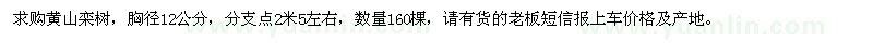 求购12公分全冠黄山栾树