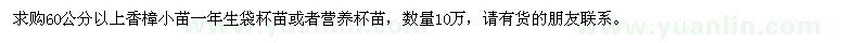 求购60公分以上香樟小苗10万棵