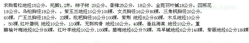 求购雪松、柿子树、香樟、金斑羽叶槭 四照花 柿子树 无刺构骨等等