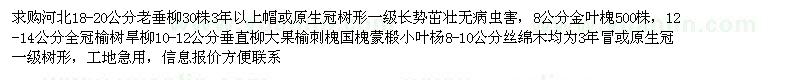 求购老垂柳 金叶槐 榆树 旱柳 垂直柳 丝绵木 