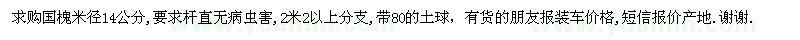 求购国槐米径14公分