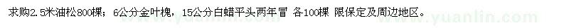 求购油松、金叶槐、白蜡