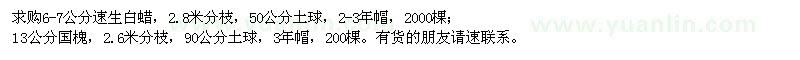 求购6-7公分速生白蜡、13公分国槐