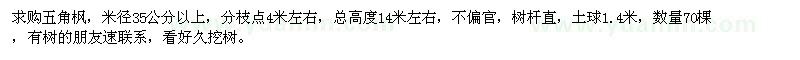 求购米径35公分以上五角枫