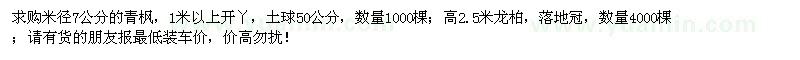 求购米径7公分青枫、高2.5米龙柏