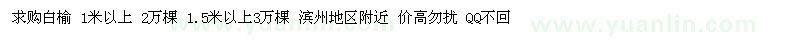 求购白榆1米以上2万棵 1.5米以上3万棵 